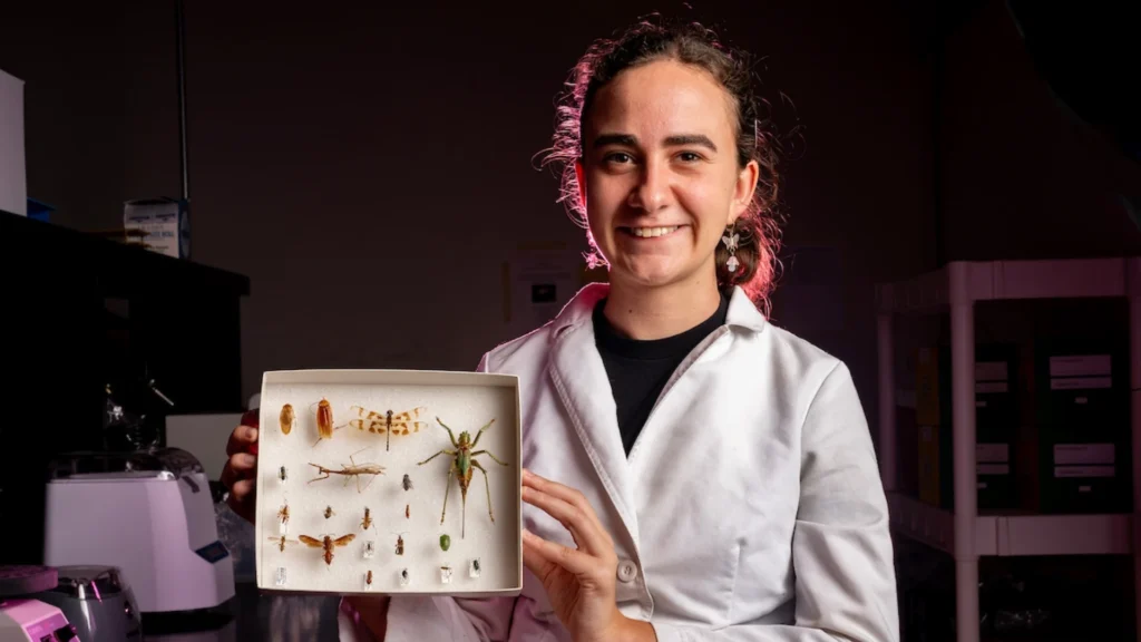 Lisa Rollinson '25 with black soldier flies.