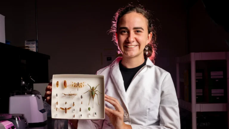 ‘Buzzing’ with brilliance and dedication — Goldwater Scholar Lisa Rollinson ’25 excels in entomology research