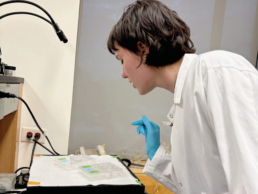 South alumna named Goldwater Scholar for Parkinson’s research